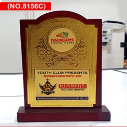 1720429217-h-250-Trophy 3a 300X300.jpg